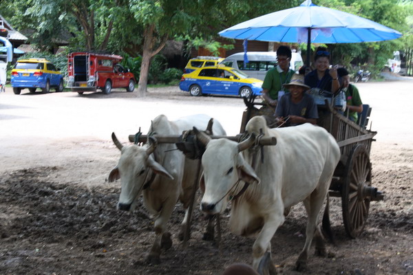 ../Picture/2553/IMG_5004.JPG