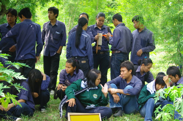 ../Picture/2553/MJUP2010102815163401.JPG