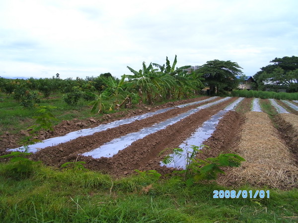 ../Picture/2553/PICT0104.JPG