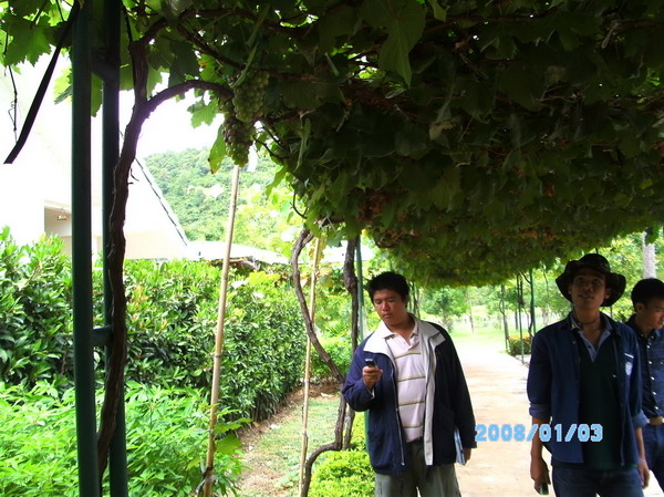 ../Picture/2553/PICT0212.JPG