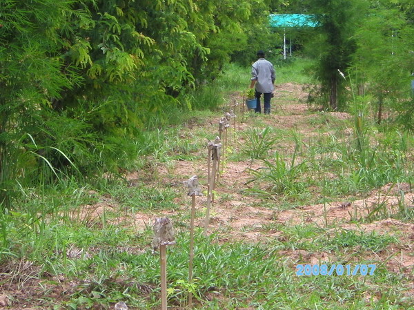 ../Picture/2553/PICT0232.JPG