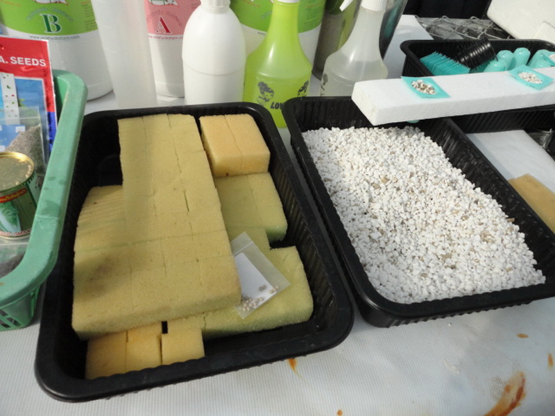 ../Picture/2554/MJUP2011080113281607.JPG