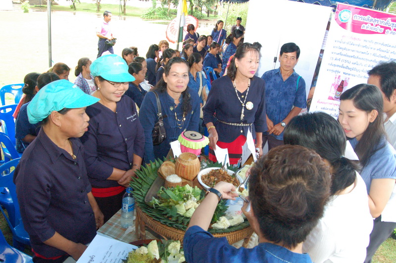 ../Picture/2554/MJUP2011090912404505.JPG