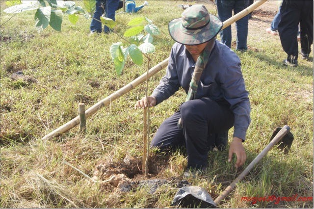 ../Picture/2554/MJUP2011102112263201.JPG
