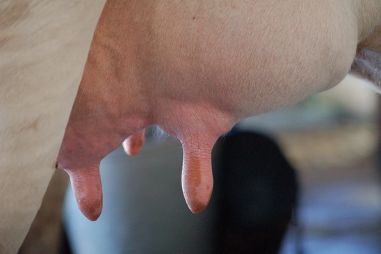 ../Picture/2555/MJUP2012050212132701.JPG