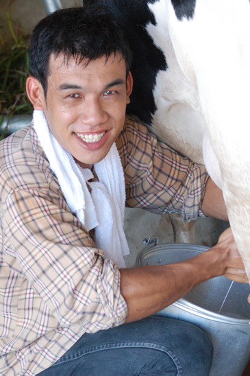 ../Picture/2555/MJUP2012050212132703.JPG