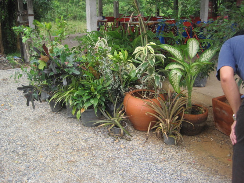 ../Picture/2555/MJUP2012060113512101.jpg