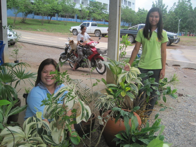 ../Picture/2555/MJUP2012060113512103.jpg