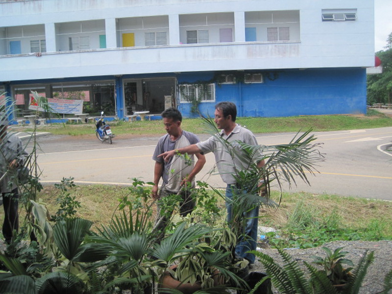 ../Picture/2555/MJUP2012060113512105.jpg