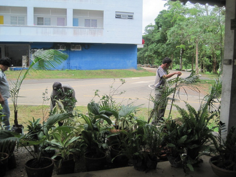 ../Picture/2555/MJUP2012060113512109.jpg