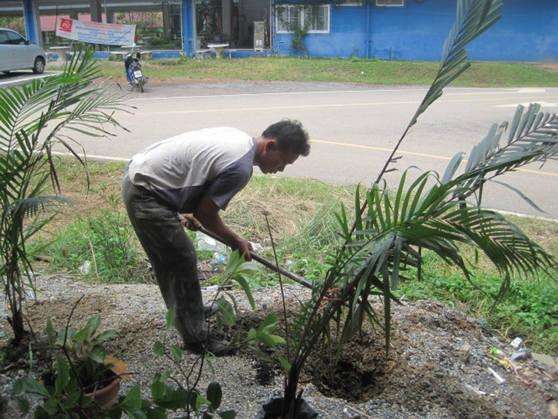 ../Picture/2555/MJUP2012060113521704.jpg