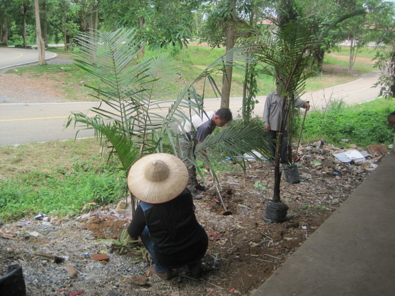 ../Picture/2555/MJUP2012060113521705.jpg