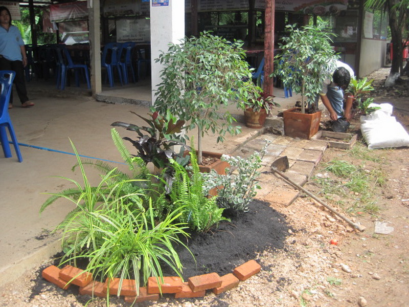 ../Picture/2555/MJUP2012060113521707.jpg