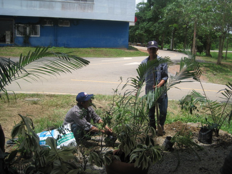 ../Picture/2555/MJUP2012060113524504.jpg