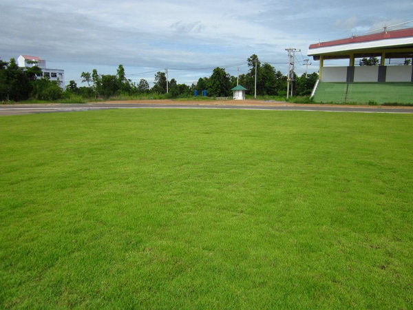 ../Picture/2555/MJUP2012062011290703.jpg
