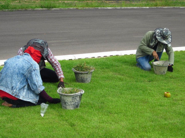 ../Picture/2555/MJUP2012062011290708.jpg