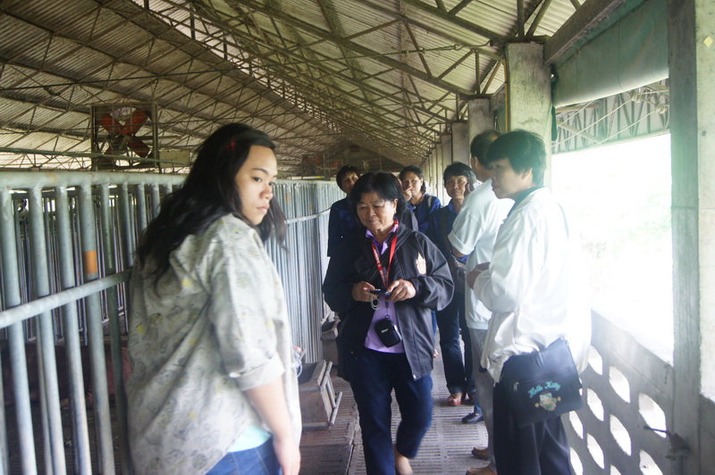 ../Picture/2555/MJUP2012071914484707.JPG