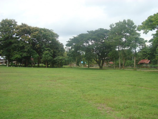 ../Picture/2555/MJUP2012082015413710.JPG