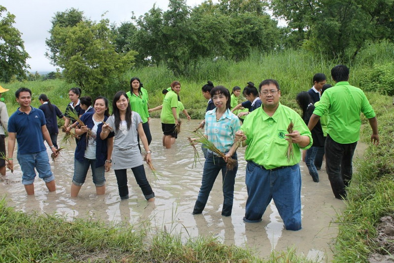 ../Picture/2555/MJUP2012090612421001.jpg