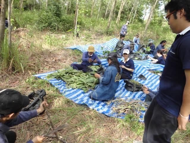 ../Picture/2556/MJU2556070913230111.jpg