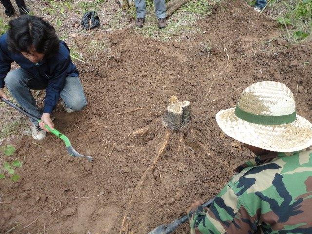 ../Picture/2556/MJU2556070913230427.jpg