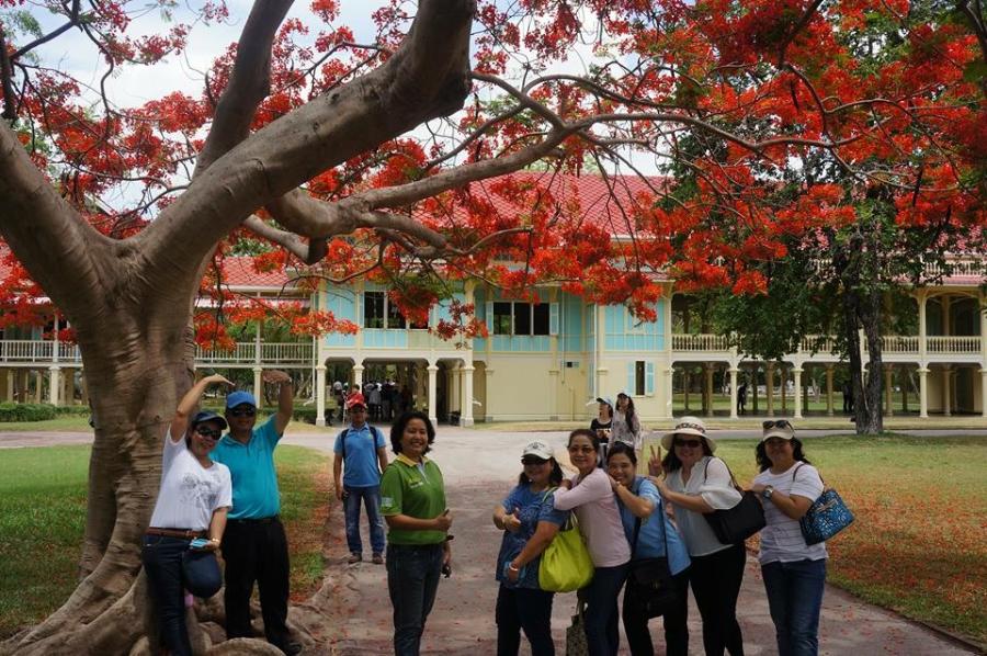 ../Picture/2559/MJU2559061310373175.JPG