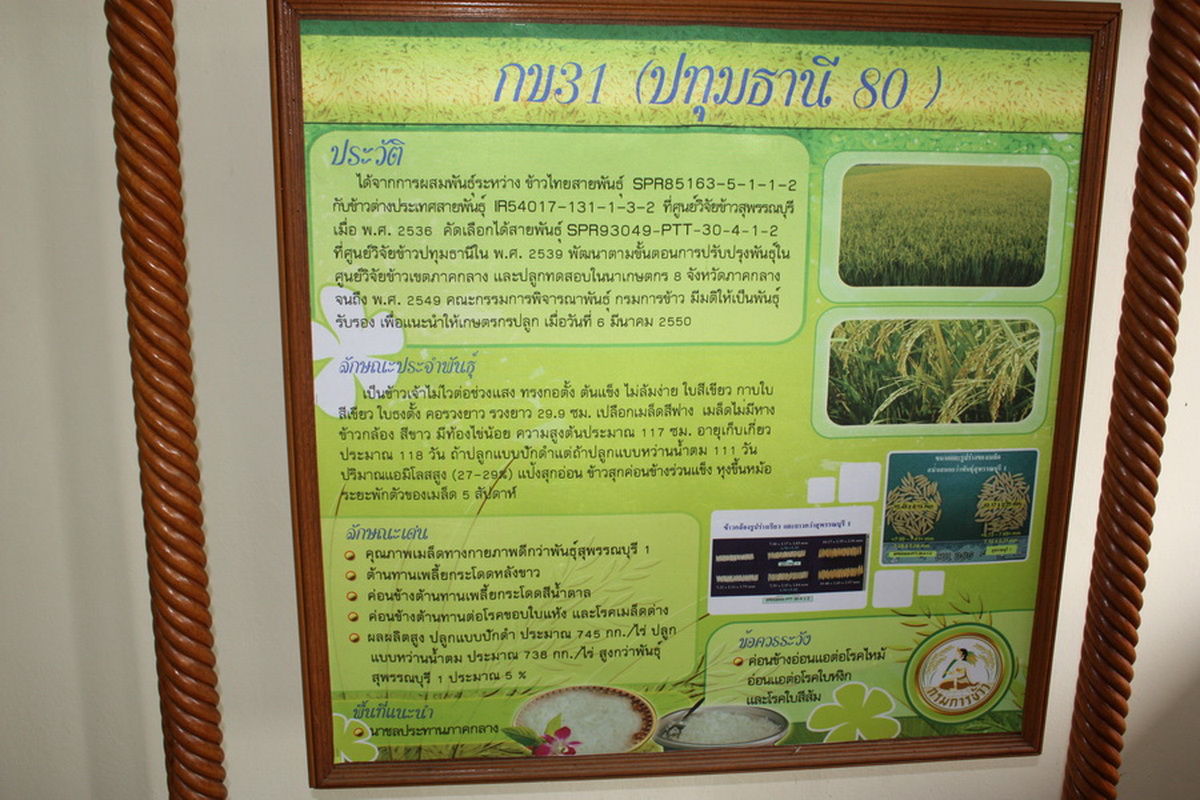 ../Picture/2553/MJUP2010102616525203.jpg