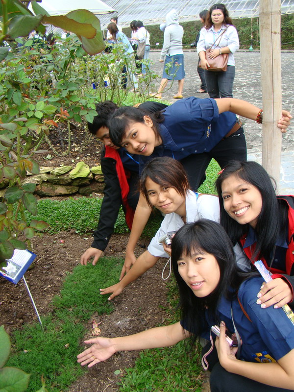 ../Picture/2553/MJUP2010102710085504.JPG