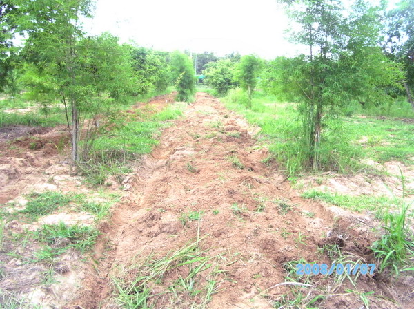 ../Picture/2553/PICT0240.JPG