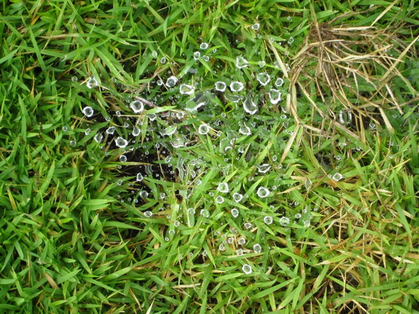 ../Picture/2555/MJUP2012062011290706.jpg