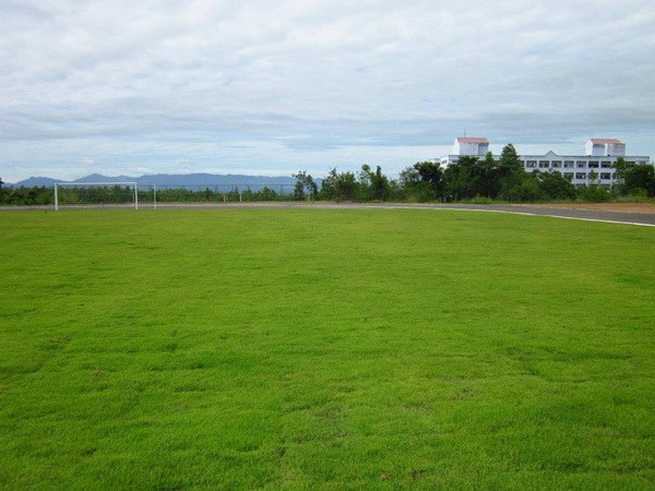 ../Picture/2555/MJUP2012062011290709.jpg