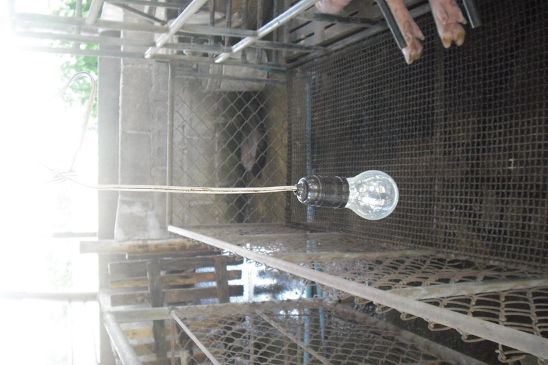 ../Picture/2555/MJUP2012071914244101.JPG