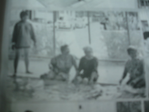 ../Picture/2555/MJUP2012072612002707.JPG