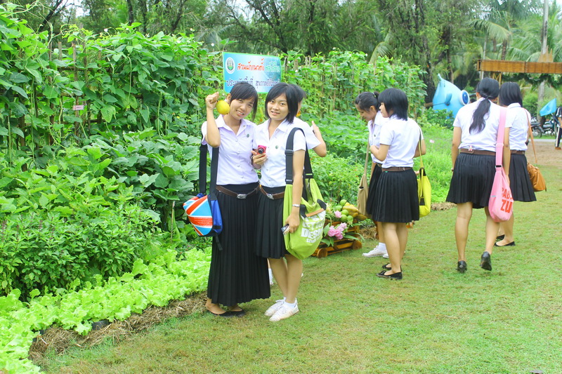 ../Picture/2555/MJUP2012081607023802.JPG