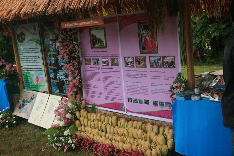 ../Picture/2555/MJUP2012081607050503.jpg
