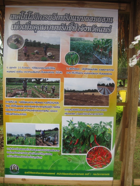 ../Picture/2555/MJUP2012081607065005.JPG