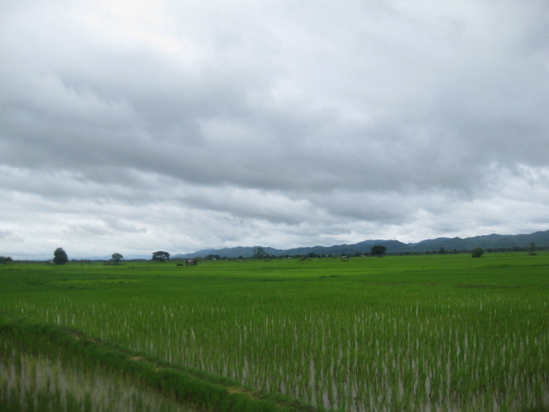 ../Picture/2555/MJUP2012081607065009.JPG