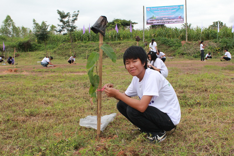 ../Picture/2555/MJUP2012081922573409.JPG