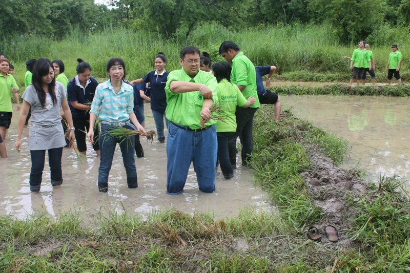 ../Picture/2555/MJUP2012090612403410.jpg