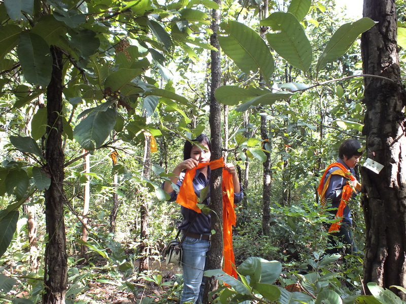 ../Picture/2555/MJUP2012091111191409.JPG