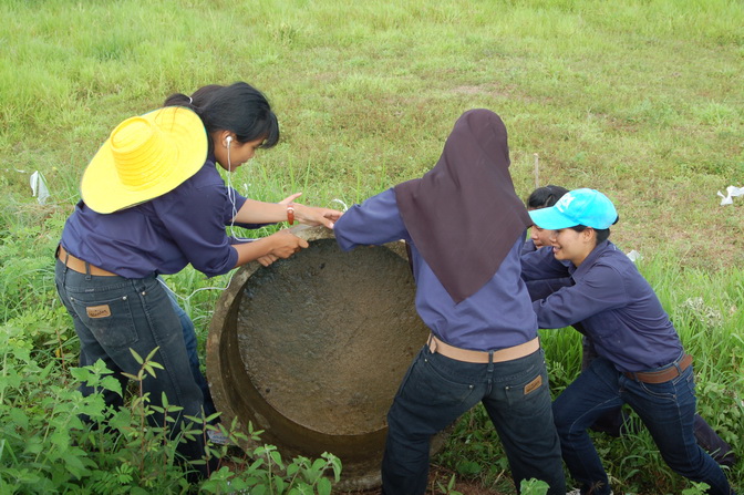 ../Picture/2555/MJUP2012091813123208.JPG