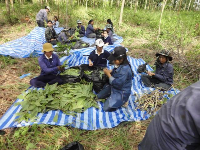 ../Picture/2556/MJU2556070913230217.jpg