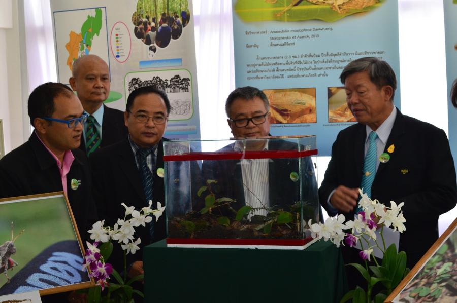 ../Picture/2558/MJU25581009142329108.JPG