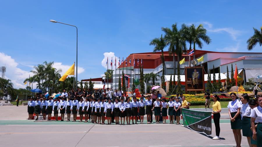 ../Picture/2562/MJU2562061310404733.JPG